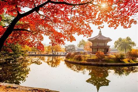 Autumn in Gyeongbokgung Palace, Seoul in South Korea. , #AFFILIATE, #Palace, #Gyeongbokgung, # ...