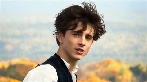 Timothée Chalamet in Little Women « Celebrity Gossip and Movie News