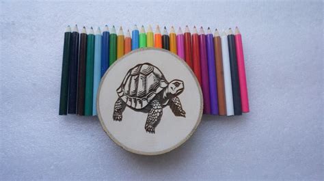 Color Your Own Wood Slice Tortoise, Coloring Craft Kit, DIY Turtle Tree Slab, Can Add Name, Bulk ...