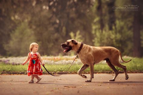 Heartwarming Photos of Little Kids and Their Big Dogs | PetaPixel