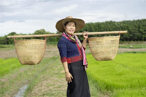 Portrait of Asian woman farmer is at paddy field, carry two baskets on her shoulders, wears hat ...