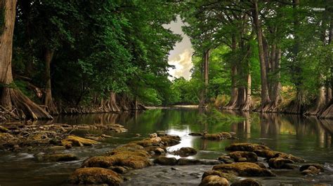 Forest River Wallpapers - Top Free Forest River Backgrounds - WallpaperAccess