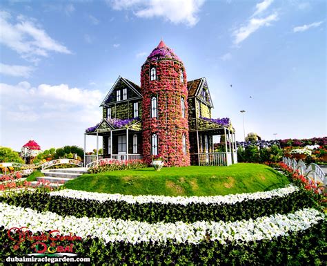 Dubai Miracle Garden: The World's Biggest Natural Flower Garden With Over 45 Million Flowers ...