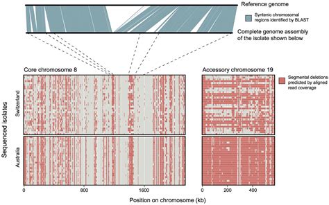 Frontiers | Using Population and Comparative Genomics to Understand the Genetic Basis of ...