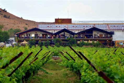 The Best Vineyards and Wineries to Visit in India – BoozNow