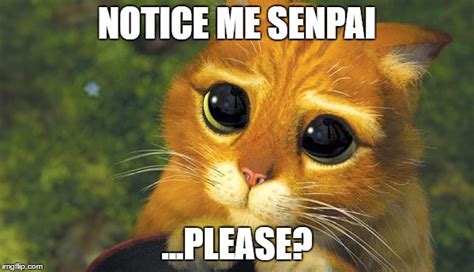 Notice Me Senpai Meme Generator