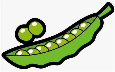 Bean clipart pea, Bean pea Transparent FREE for download on ...