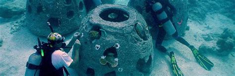 About Reef Balls » Eternal Reefs » Living legacies that memorialize the ...