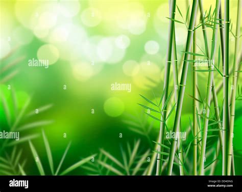 Bamboo background illustration Stock Photo - Alamy