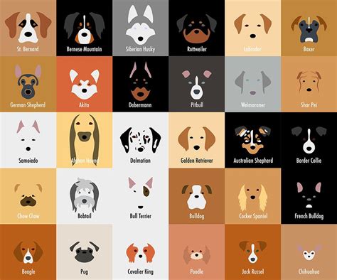 I Make Minimalist Illustrations Of Various Dog Breeds | Dog breeds, Dog ...