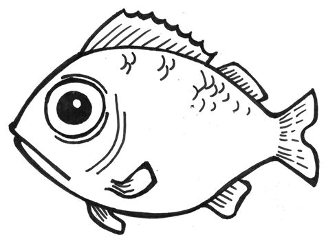 Fish Drawings Images - Cliparts.co