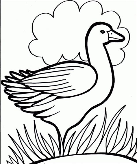 Free Printable Duck Coloring Pages For Kids