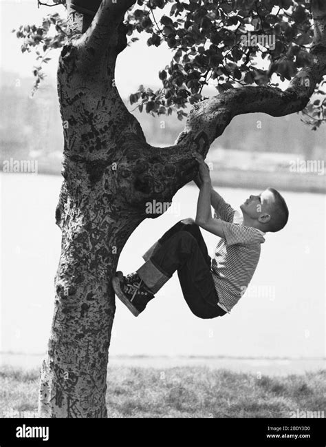 Enfant grimpe arbre Banque d'images noir et blanc - Alamy