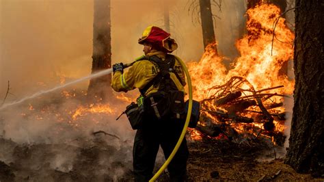 How to become a wildland firefighter