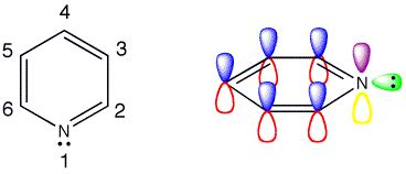 If pyridine and pyrimidine are both aromatic compounds, how many elctrons does each nirtogen ...