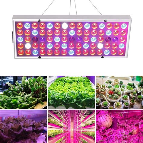 800W/1200W LED Grow Lights for Indoor & Outdoor Plants, Plant Growth ...