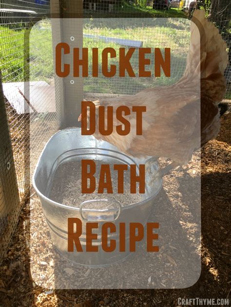 How to Make a Chicken Dust Bath • The Reaganskopp Homestead