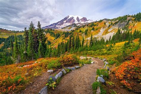 12 Top-Rated Hiking Trails at Mount St. Helens - Visit Mt St Helens