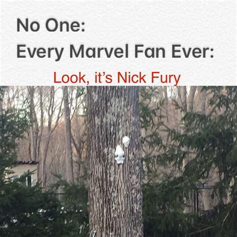 Marvel fans : r/marvelmemes