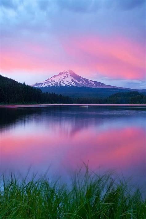 29 best Pink Outdoors images on Pinterest | Landscapes, Nature and Beautiful places