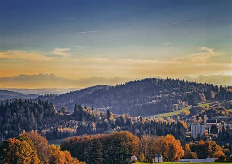 Nationalpark Bavarian Forest on Behance