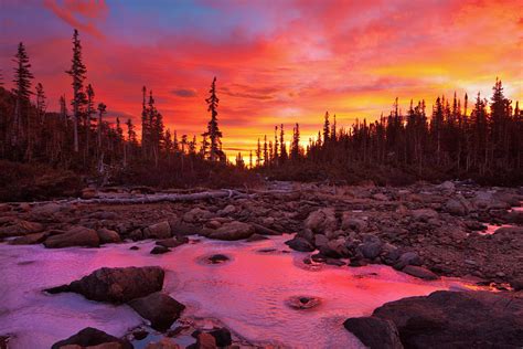 Critter Sitter's Blog: Rocky Mountain Sunrise - Photos