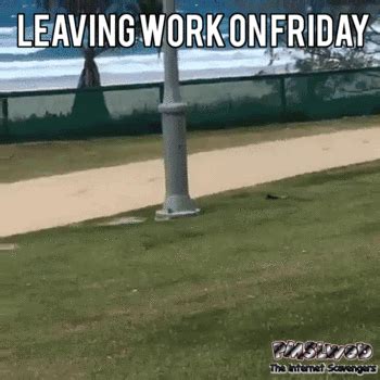 Leaving work on Friday funny dog gif | PMSLweb