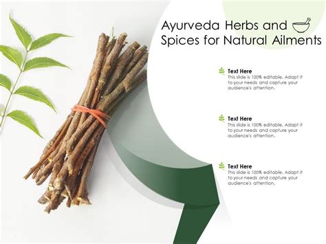 Ayurveda Herbs And Spices For Natural Ailments | PowerPoint Slide Templates Download | PPT ...