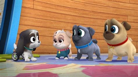 ‘Puppy Dog Pals’ Gets Season 4 Renewal at Disney Junior (Exclusive ...