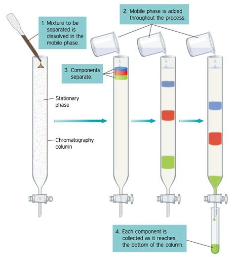 Column Chromatography: Types of Laboratory Equipment