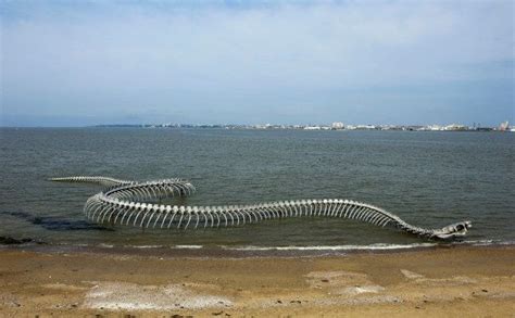 Nessie?!: Sea-Serpent Skeleton Installed In French River | Installation art, Sea serpent, Loire ...