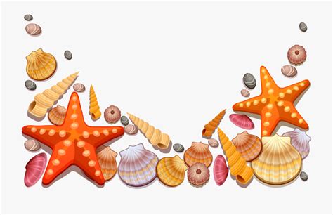 seashell border clipart 10 free Cliparts | Download images on Clipground 2024