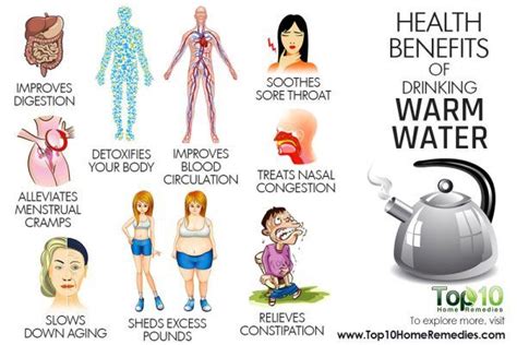 10 Health Benefits of Drinking Warm Water | Top 10 Home Remedies