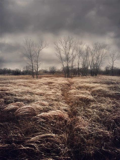 8 Tips For Incredible Rural Landscape Photography On iPhone