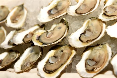 Raw Oysters Are Still Alive When You Eat Them - Simplemost