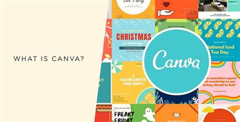 Canva designer vs Graphics designer: Understand the difference