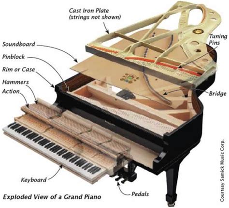 Learn How a Piano Works - Piano Action Parts