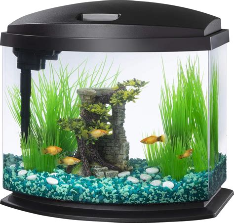 Aqueon LED MiniBow Aquarium Kit with SmartClean Technology, Black, 5 Gallon : Amazon.com.mx ...