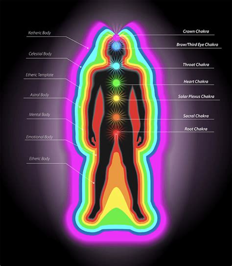 Holistic Health & Wellness through Maximizing Your Energetic Vibration - Think Smarter World
