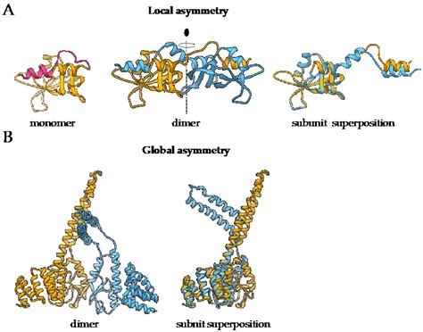 IJMS | Free Full-Text | Modeling and Structure Determination of Homo-Oligomeric Proteins: An ...