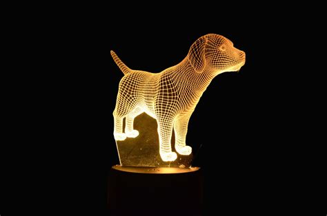 3D Dog Night Light LED Desk Remote Touch Lamp with 7 Color | Etsy