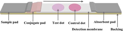 Schematic diagram of the assembling of NACS | Download Scientific Diagram