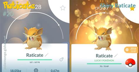 Shiny Raticate - Pokemon Go