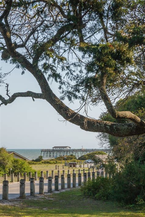 The Best Hiking Trails Near Myrtle Beach South Carolina