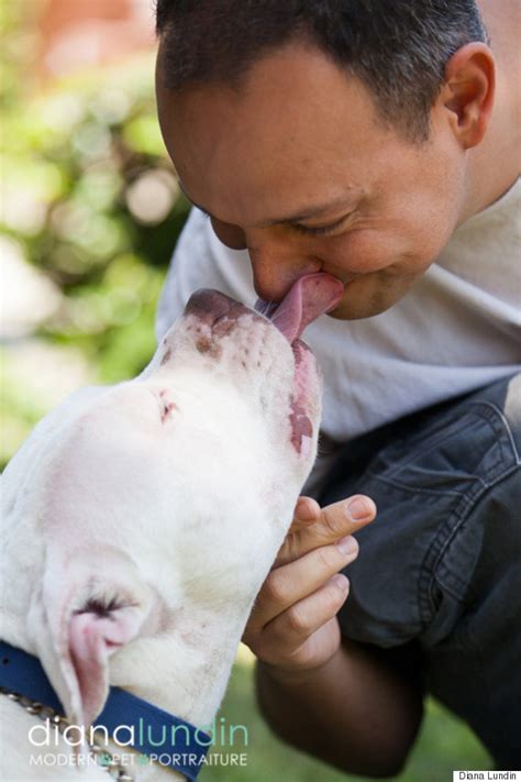 From Scared Stiff To Slobbery Kisses, Terrified Pit Bull Transforms ...