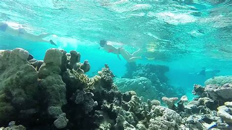 The Cook Islands - Snorkeling on Aitutaki - YouTube