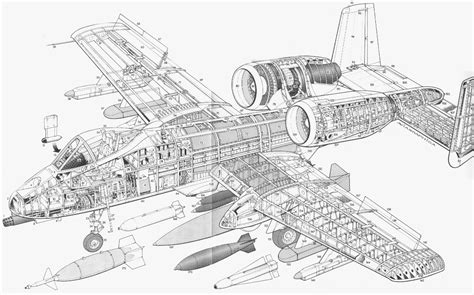 Fairchild Republic A-10 Thunderbolt II Blueprint - Download free blueprint for 3D modeling