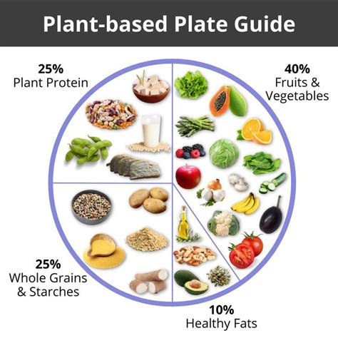 Plant-based Plate Guide | Plant based diet meal plan, Plant based diet ...