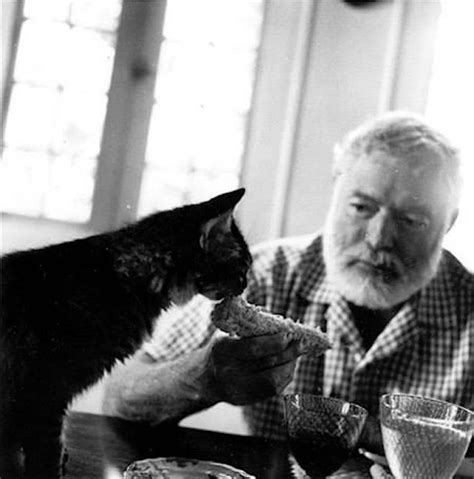 26 Interesting Vintage Photos of Ernest Hemingway With His Beloved Cats ...