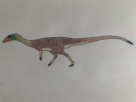 Coelophysis bauri, based on a skeletal by Scott Hartman [OC] : Paleoart